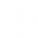 Cycling infrastructure causes pollution